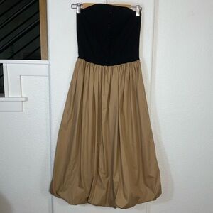 Adelante Chic Strapless Black and Tan Dress